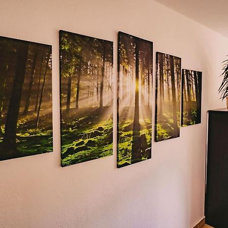 Franzis Feriendomizil Im Herzgebirge Am Skihang Auerbach  Екстер'єр фото